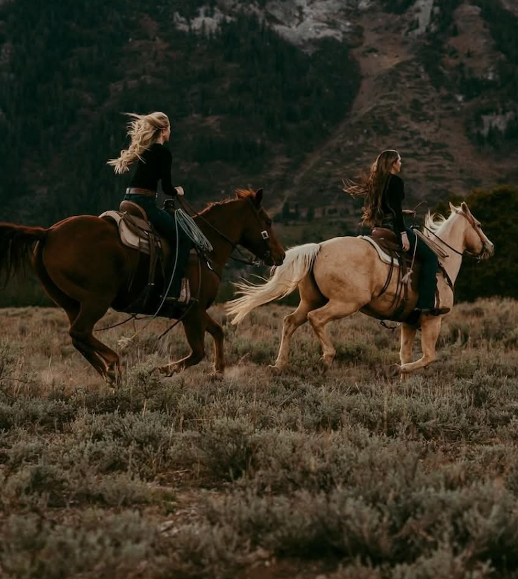 screenshot 2026 01 20 at 21.17.07