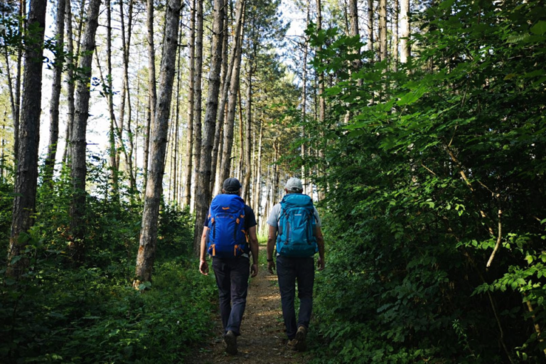 chatgpt image 6 мар. 2026 г., 17 48 20