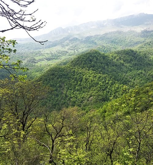 tour in dilijan 10 (2)